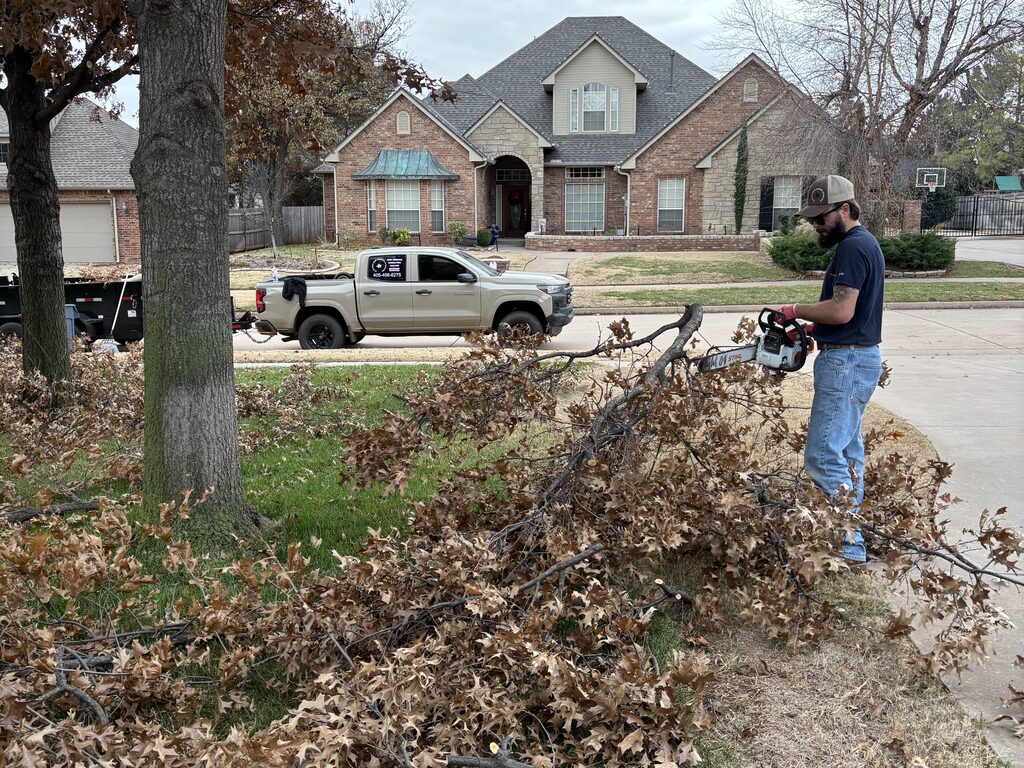 tree limb cutting and brush removal in Edmond OK