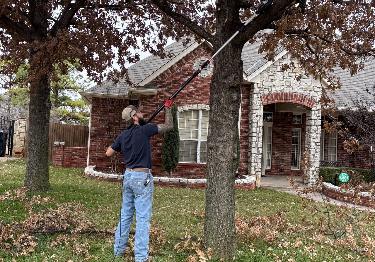 tree trimming and brush removal in Edmond OK